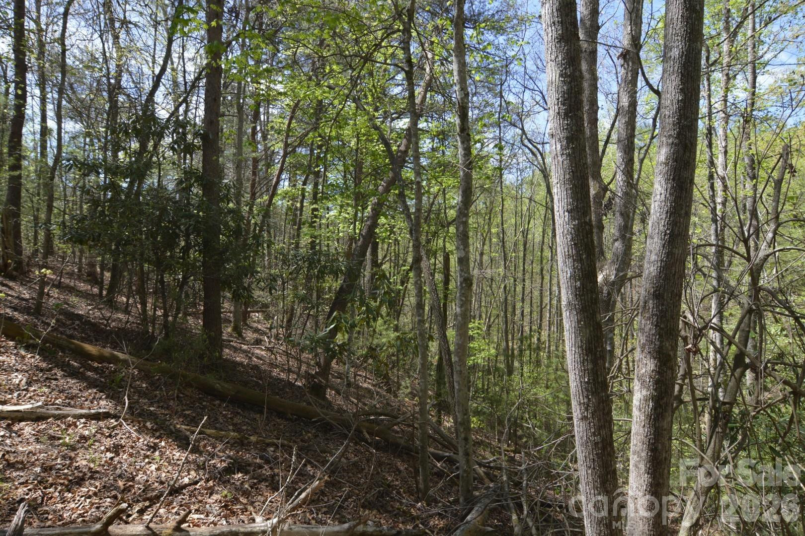 00 Garnet Drive - Photo 16