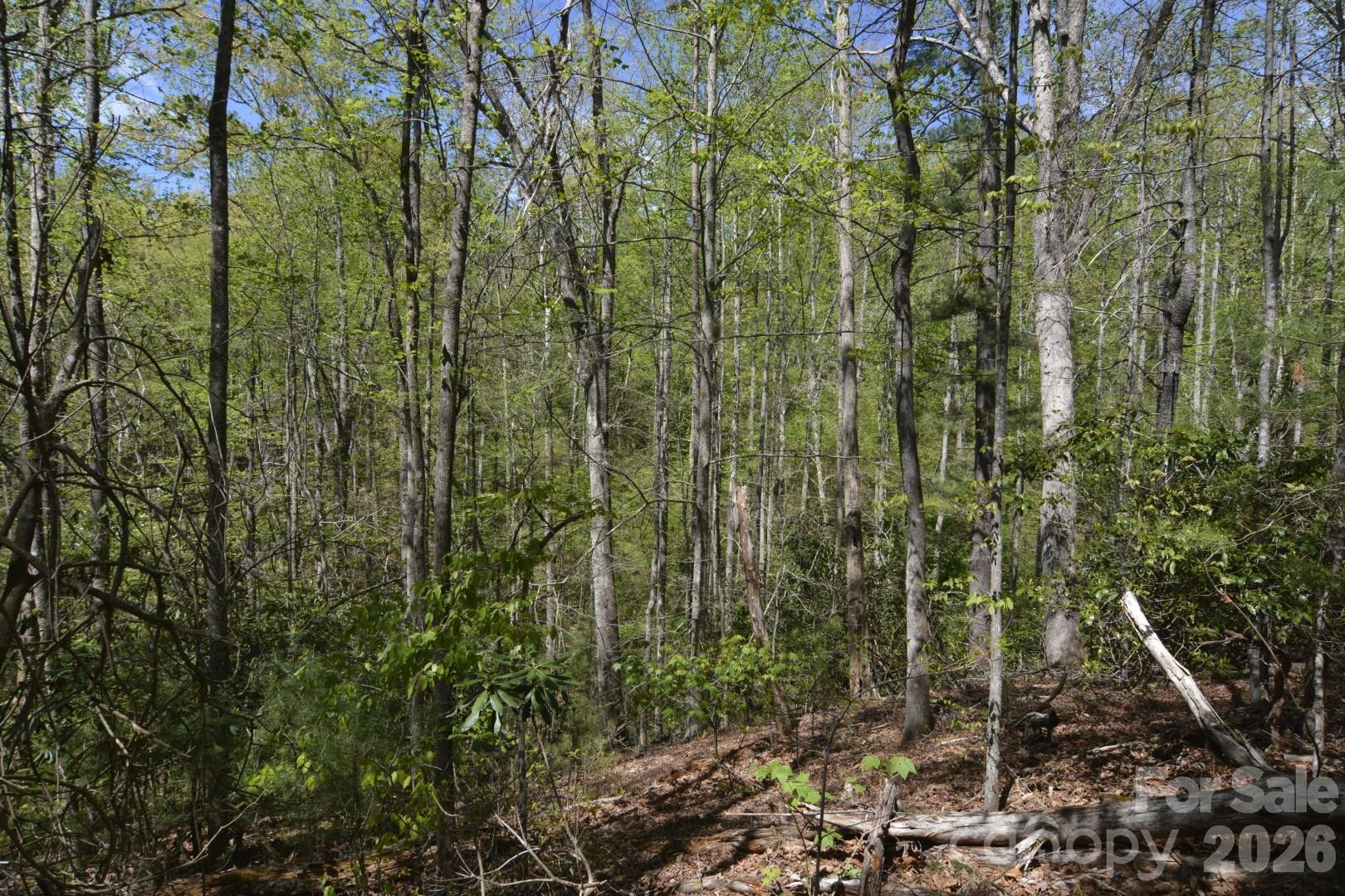 00 Garnet Drive - Photo 17