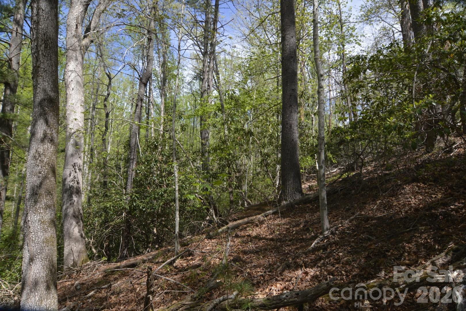 00 Garnet Drive - Photo 18