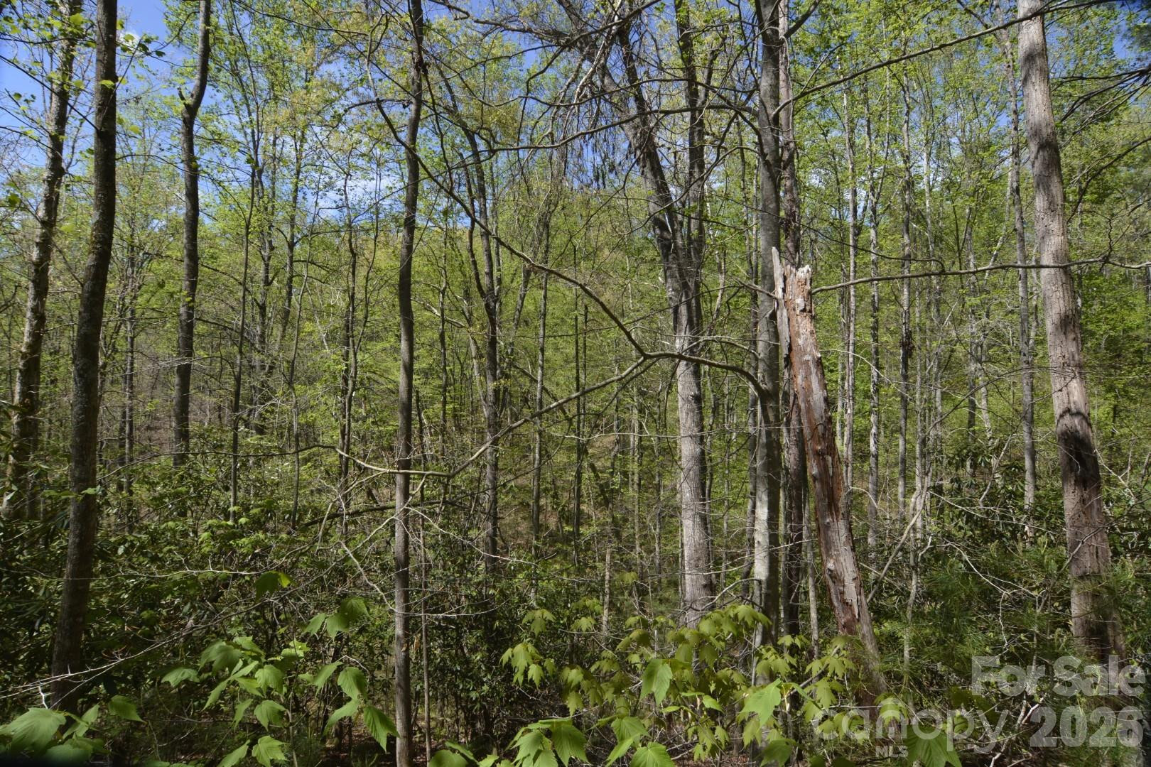 00 Garnet Drive - Photo 19