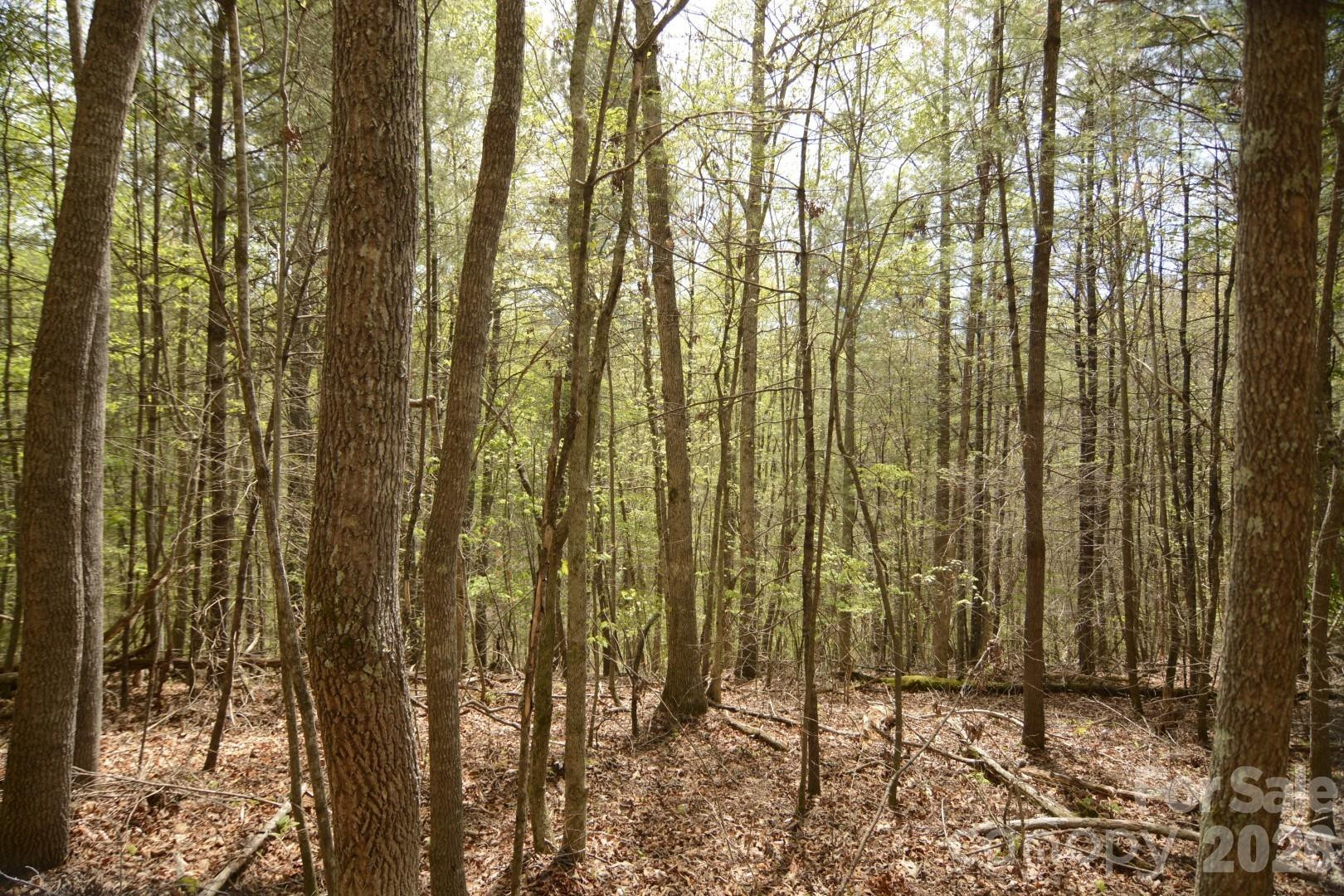 00 Garnet Drive - Photo 3