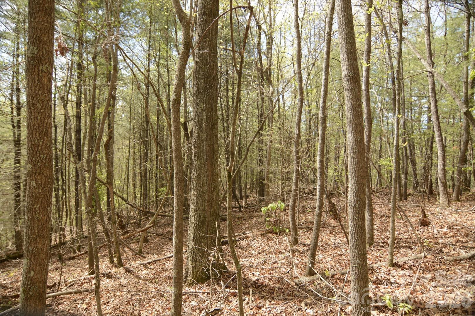 00 Garnet Drive - Photo 4