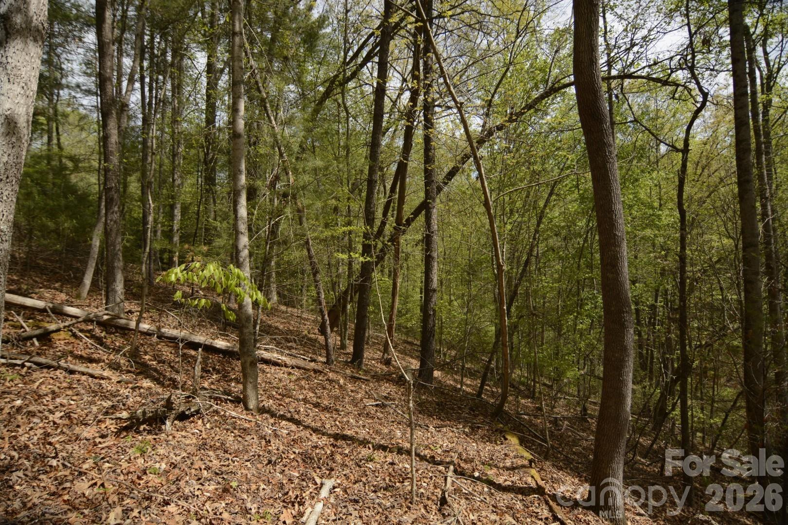 00 Garnet Drive - Photo 5