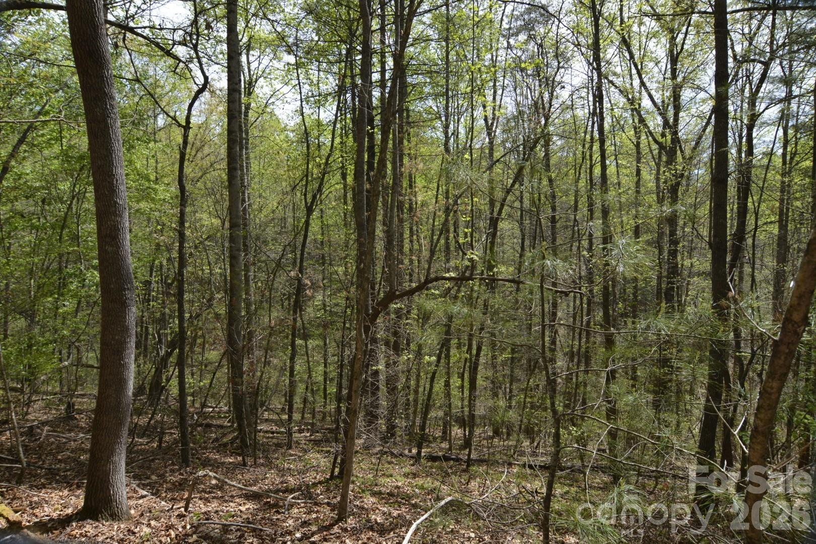 00 Garnet Drive - Photo 6