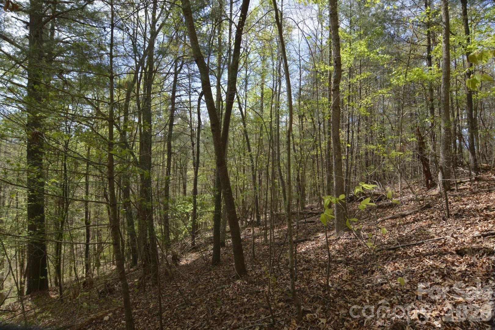 00 Garnet Drive - Photo 7