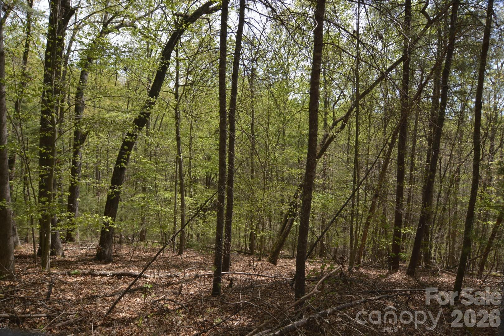 00 Garnet Drive - Photo 8