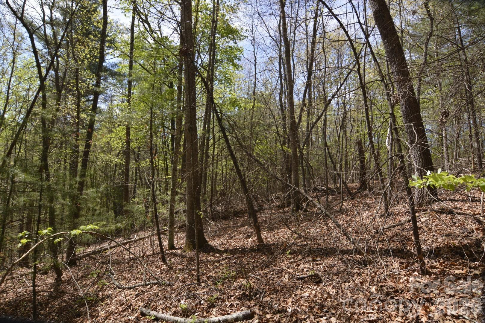 00 Garnet Drive - Photo 9