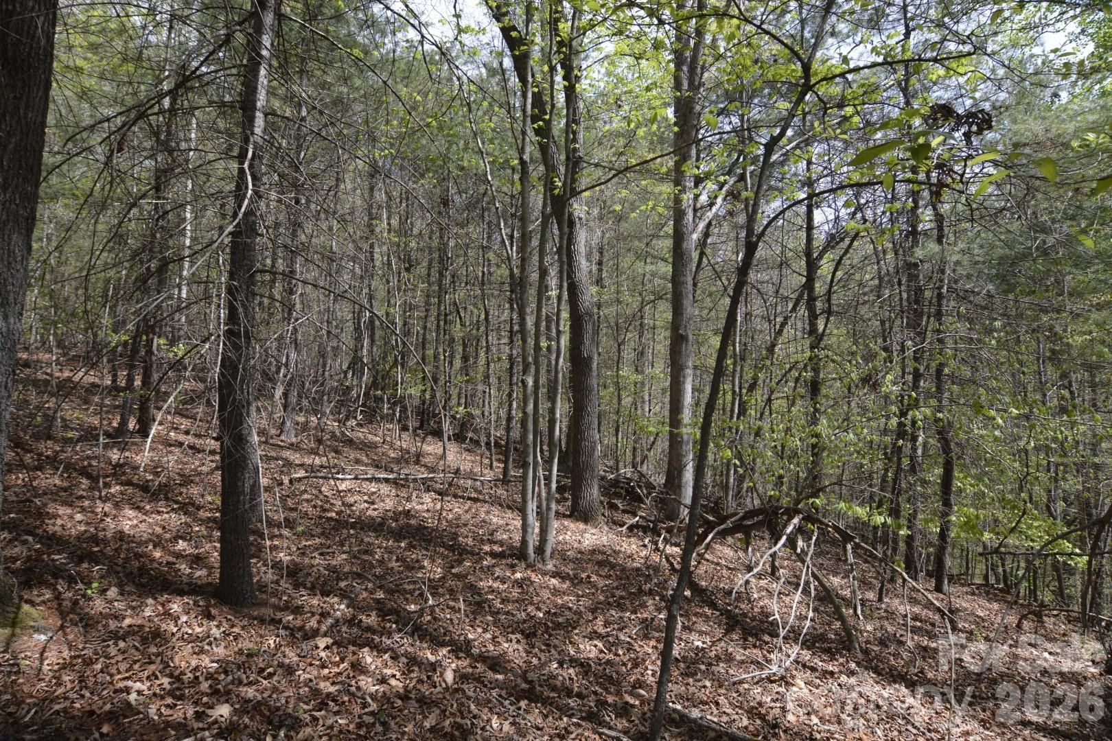 00 Garnet Drive - Photo 10