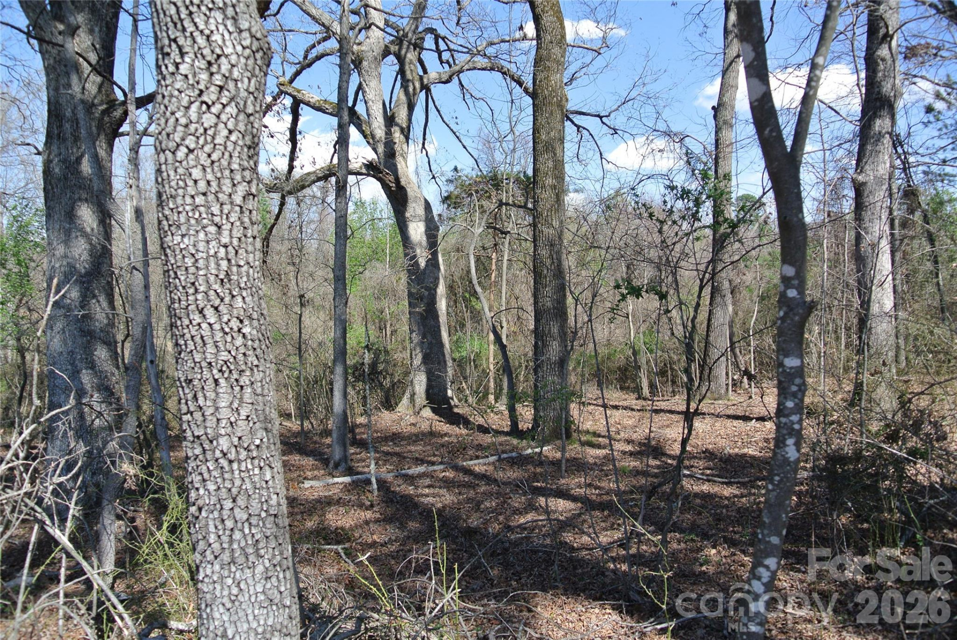 0 Hudlow Road - Photo 8