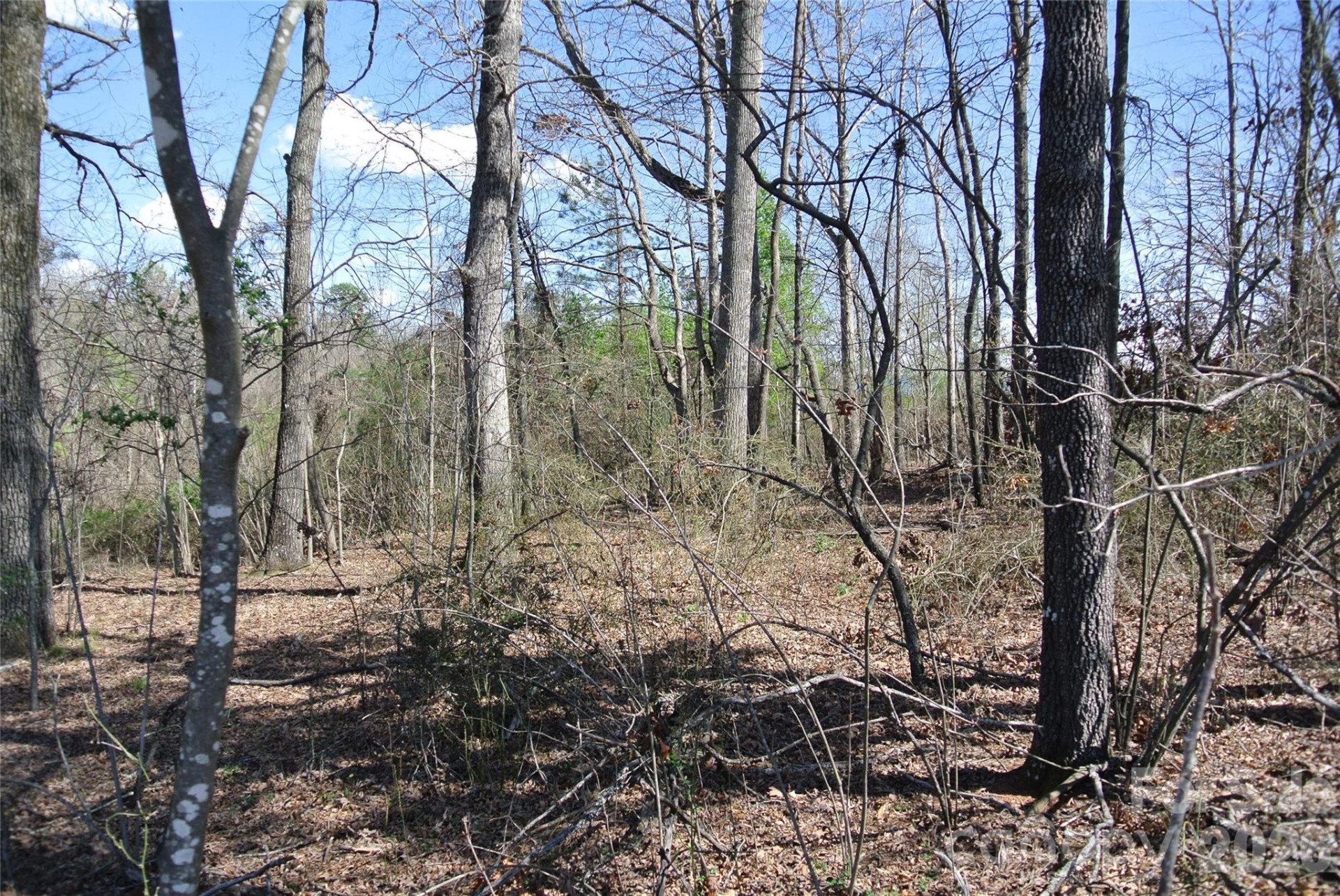 0 Hudlow Road - Photo 9