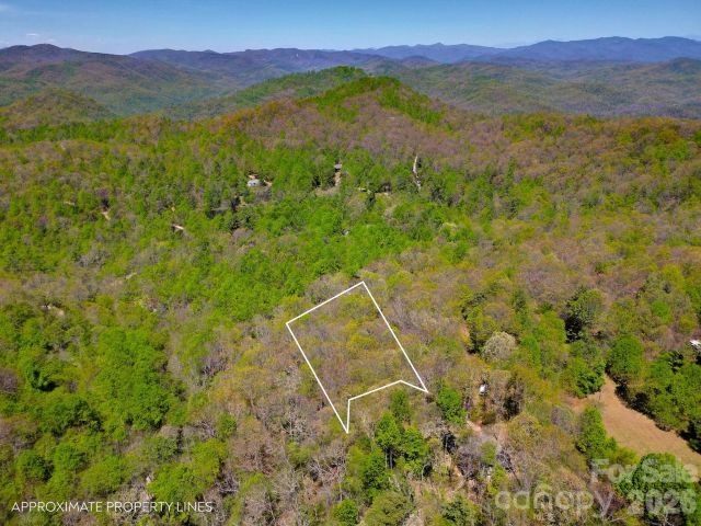 99999 Laurel Drive, Black Mountain, NC, 28711