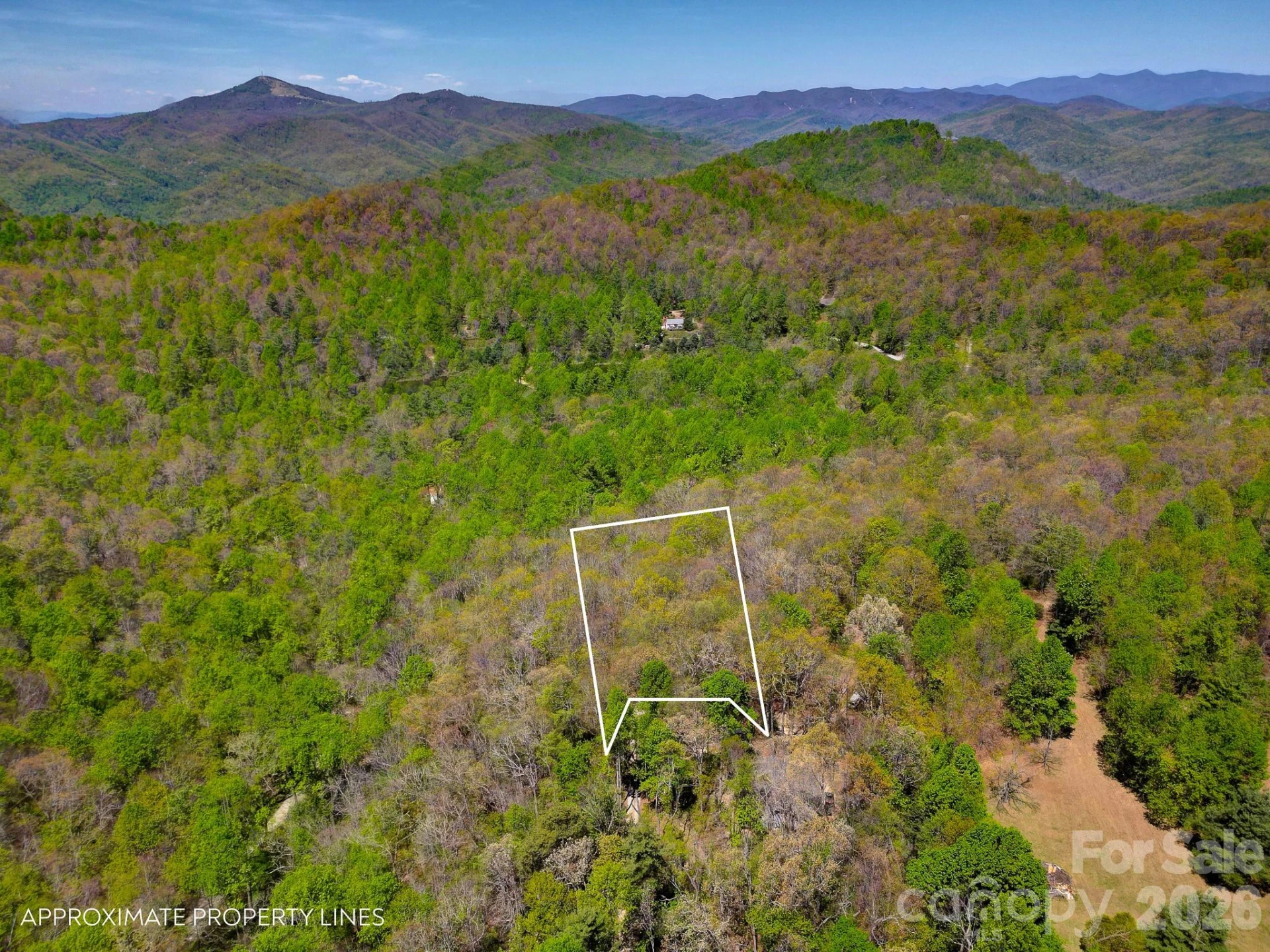 99999 Laurel Drive - Photo 2