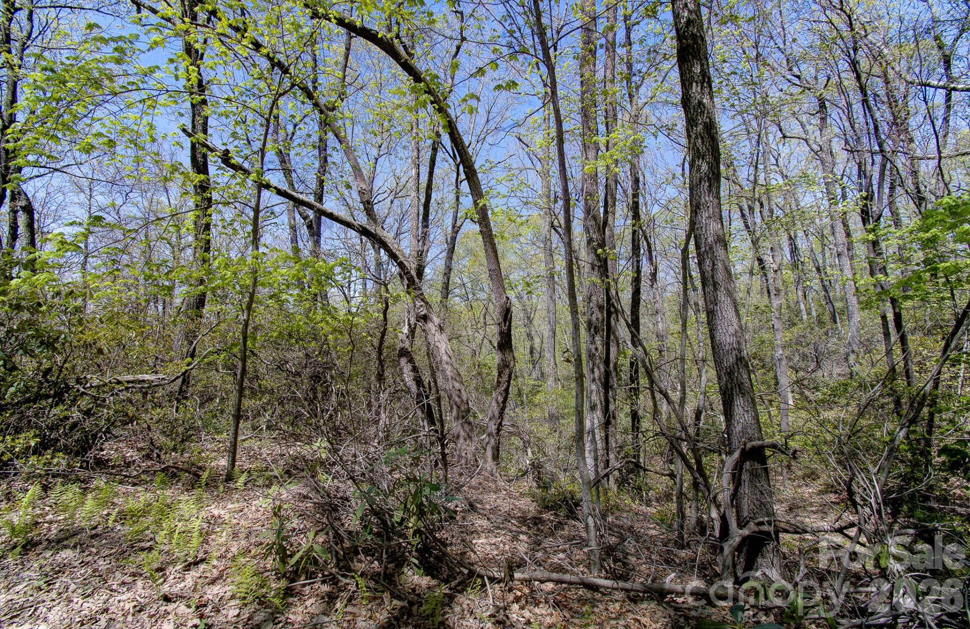 99999 Laurel Drive - Photo 4