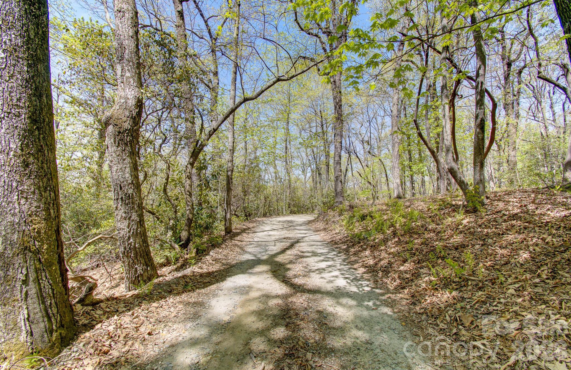 99999 Laurel Drive - Photo 5