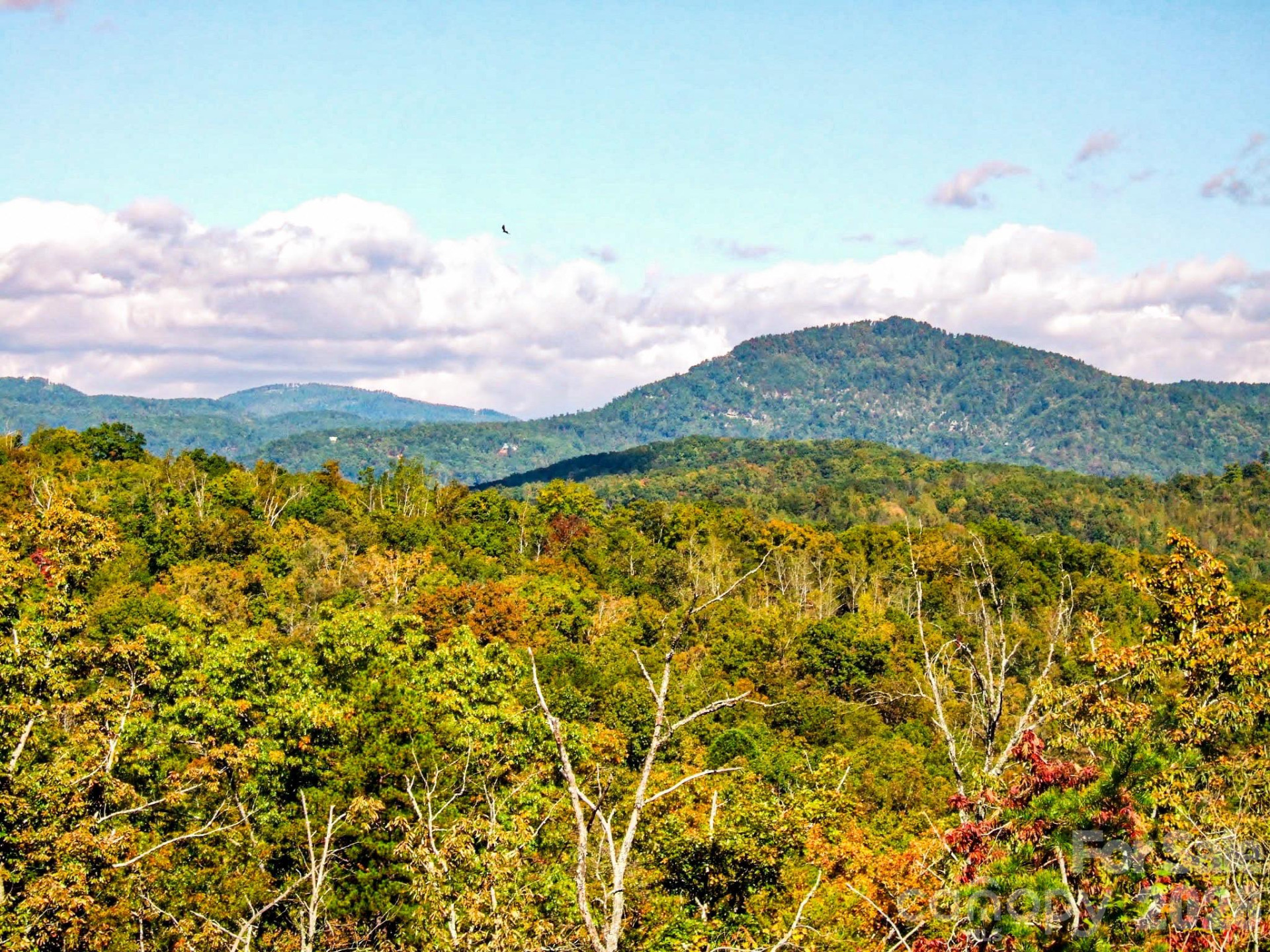 111 Arabesque Way - Photo 19