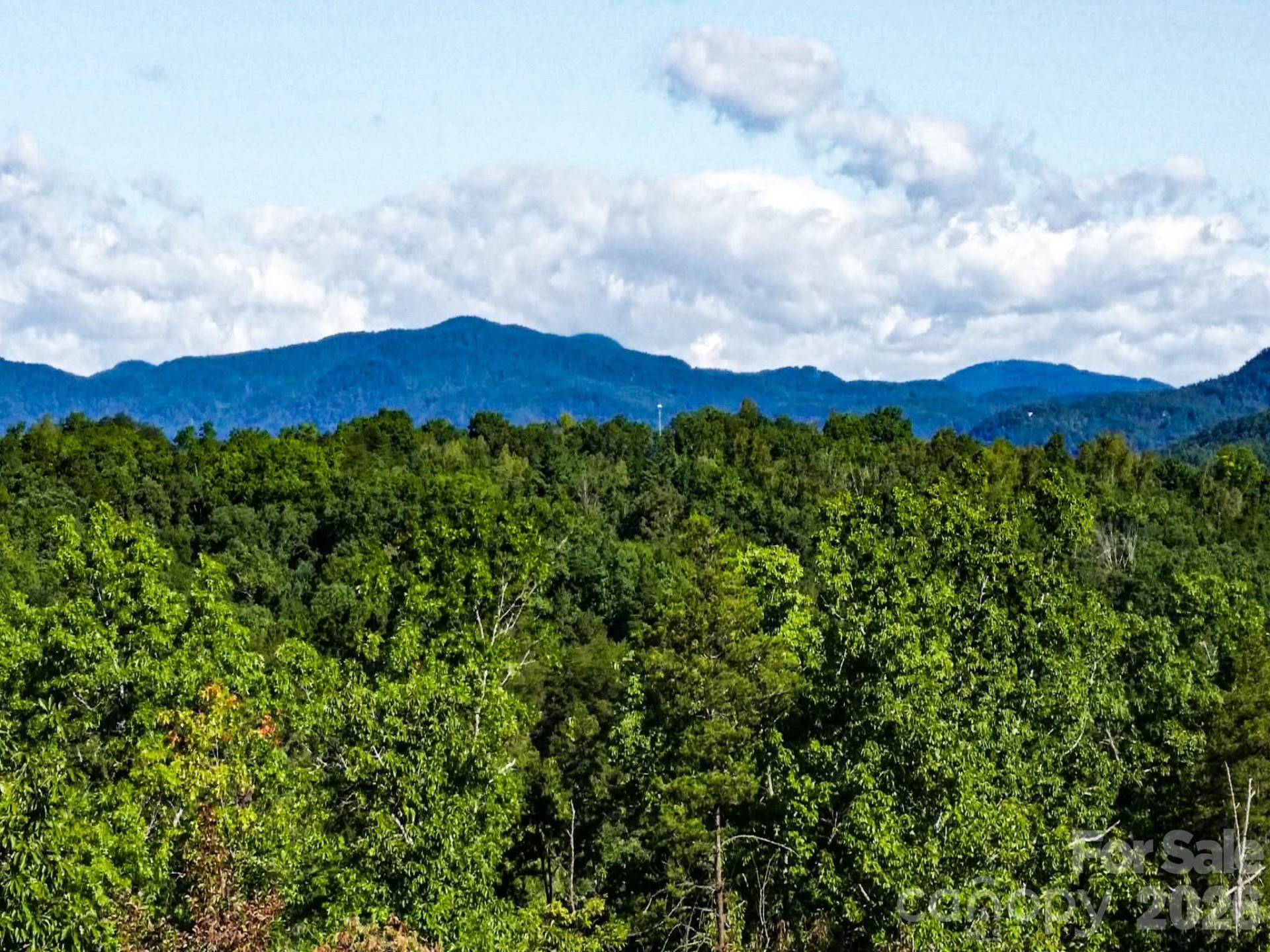 111 Arabesque Way - Photo 3