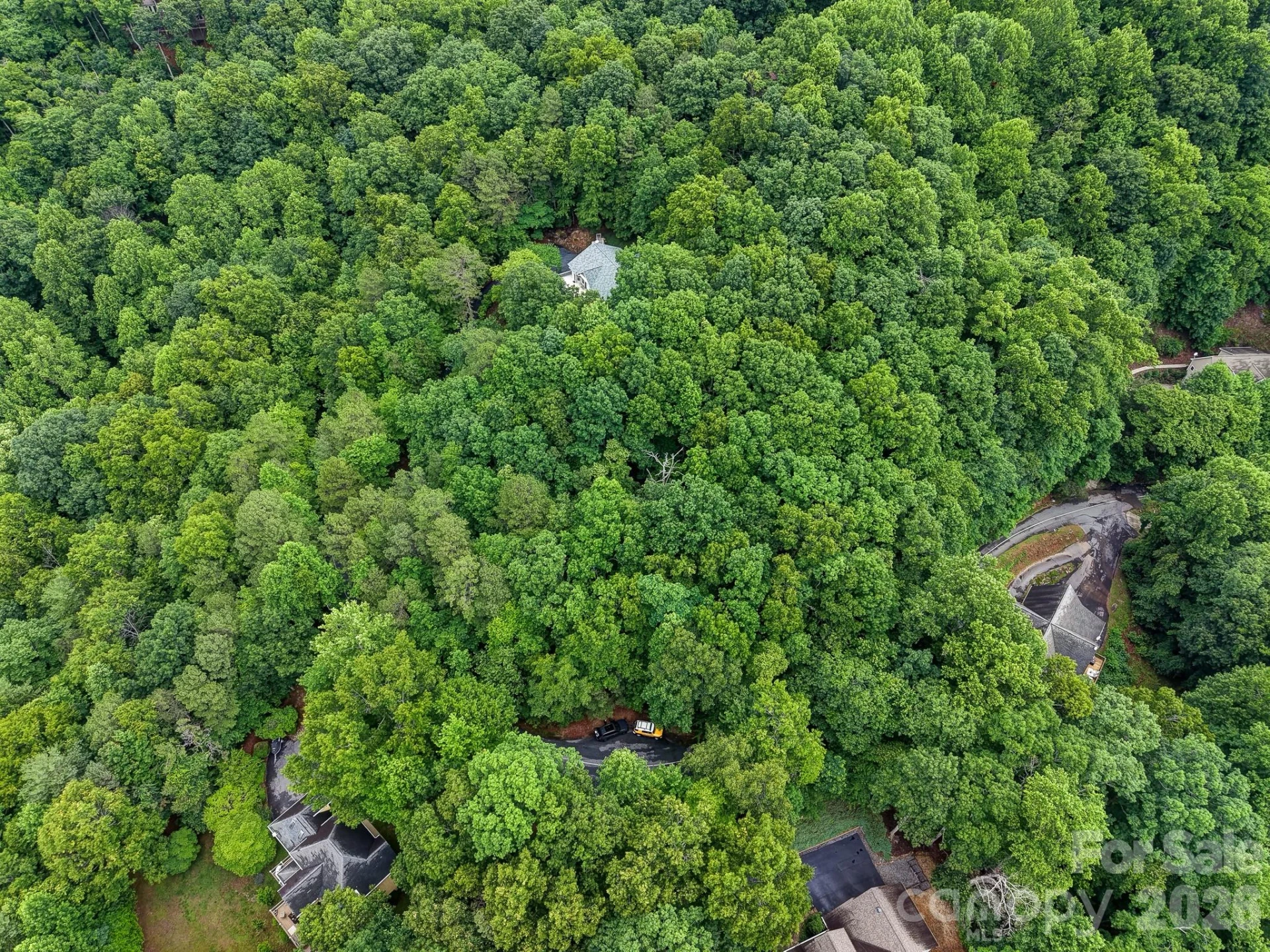 50 Cedar Drive #274 - Photo 6