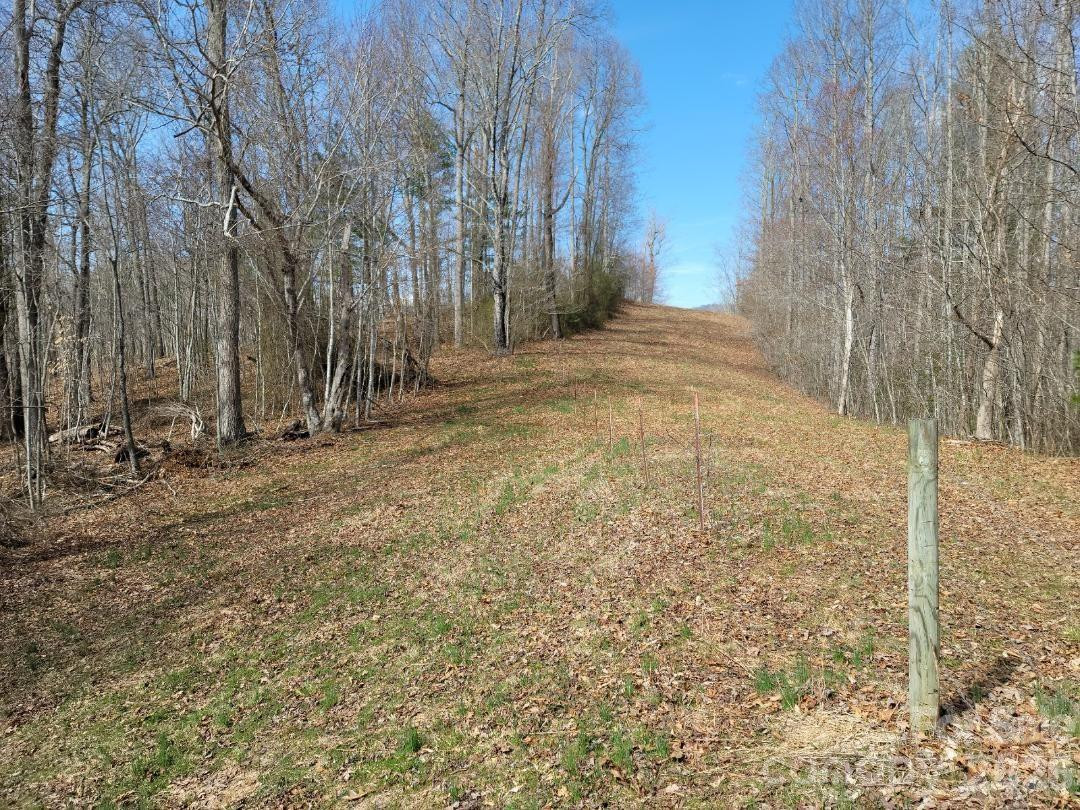 334 OMC Drive - Photo 15