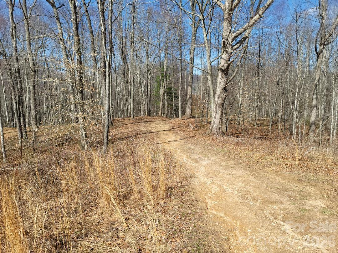 334 OMC Drive - Photo 19