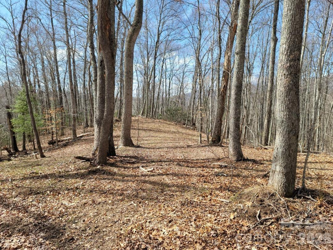 334 OMC Drive - Photo 20