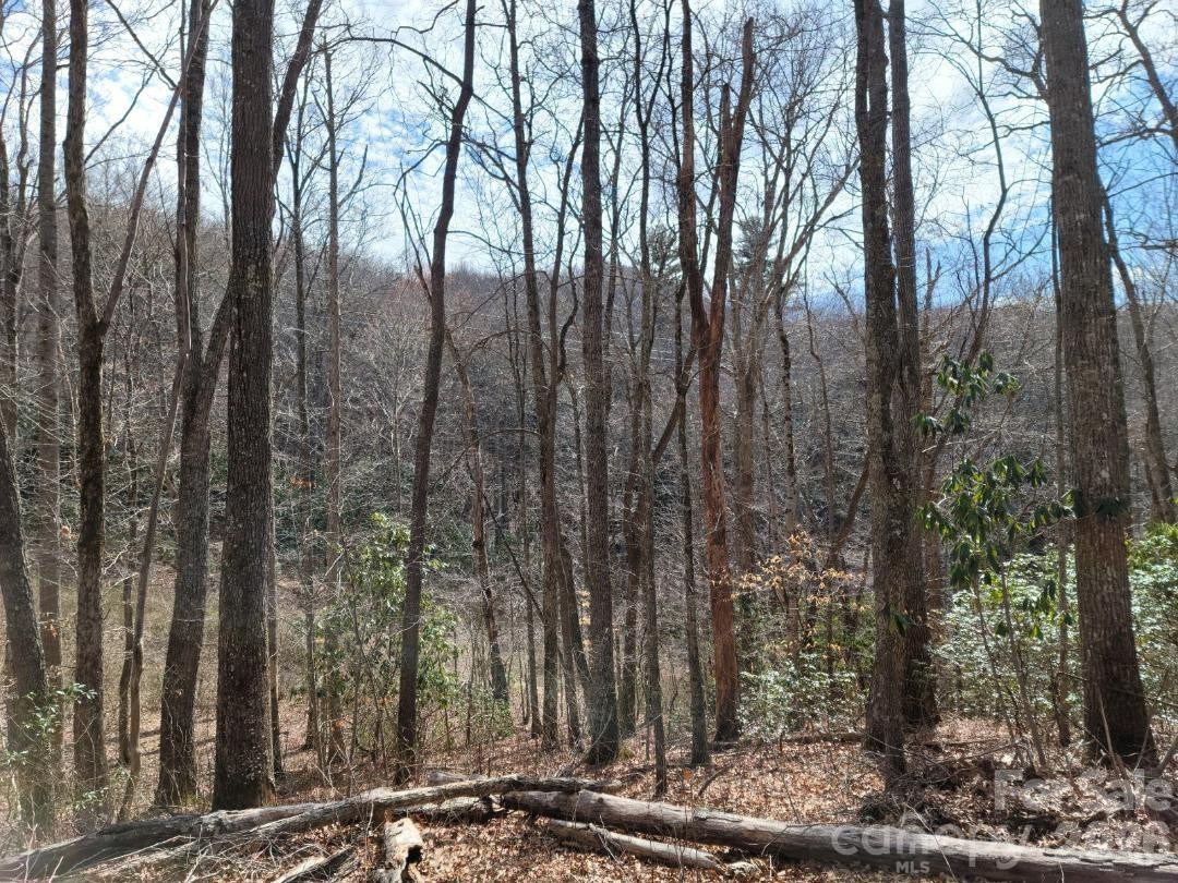 334 OMC Drive - Photo 21