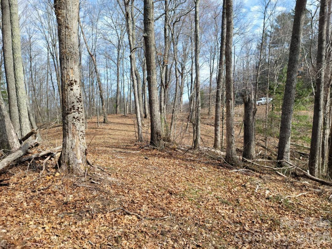 334 OMC Drive - Photo 22