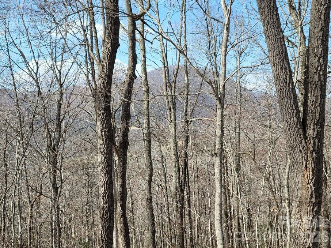 334 OMC Drive - Photo 29