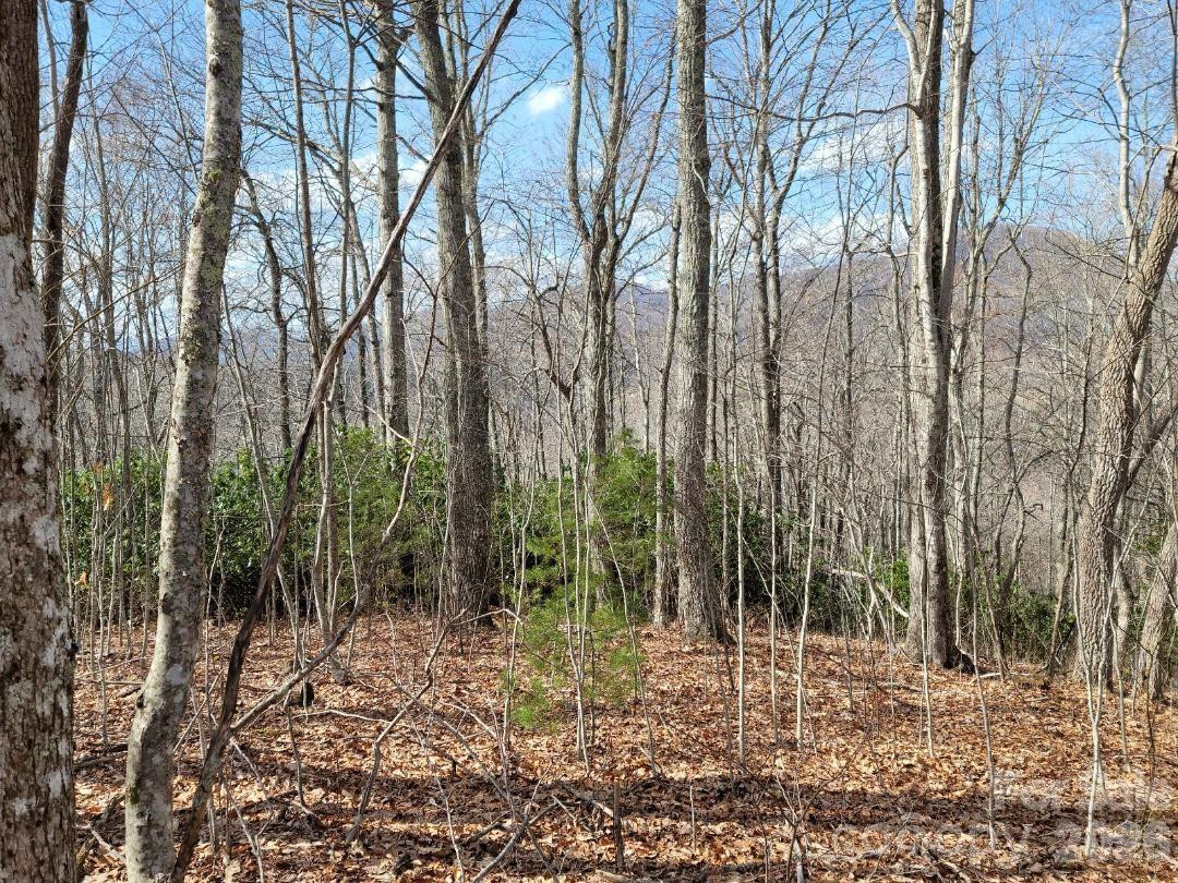 334 OMC Drive - Photo 30