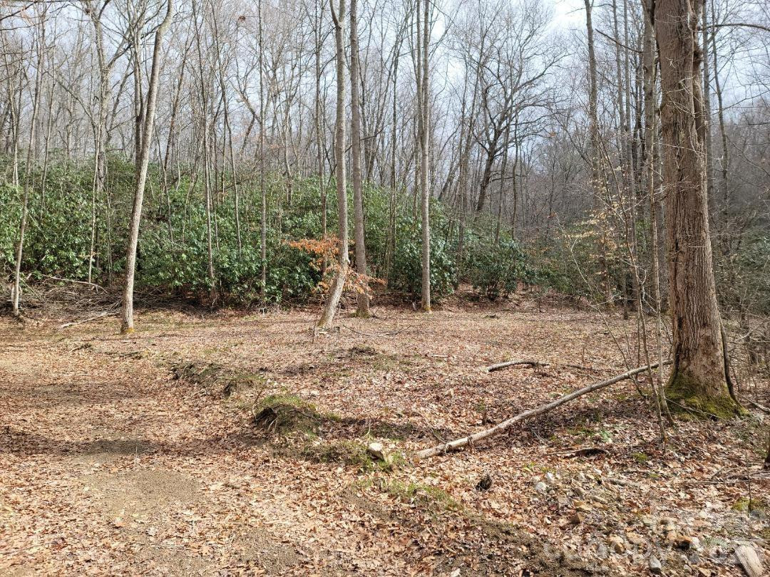 334 OMC Drive - Photo 4