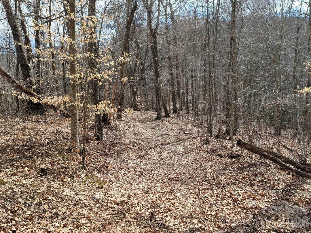 334 OMC Drive - Photo 31