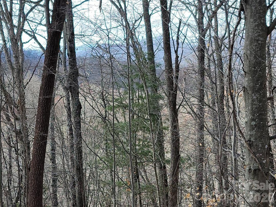 334 OMC Drive - Photo 32