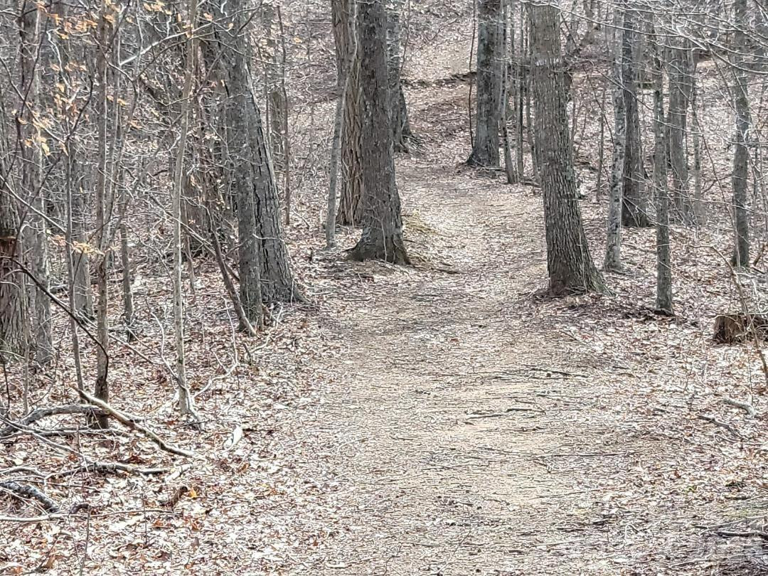 334 OMC Drive - Photo 33