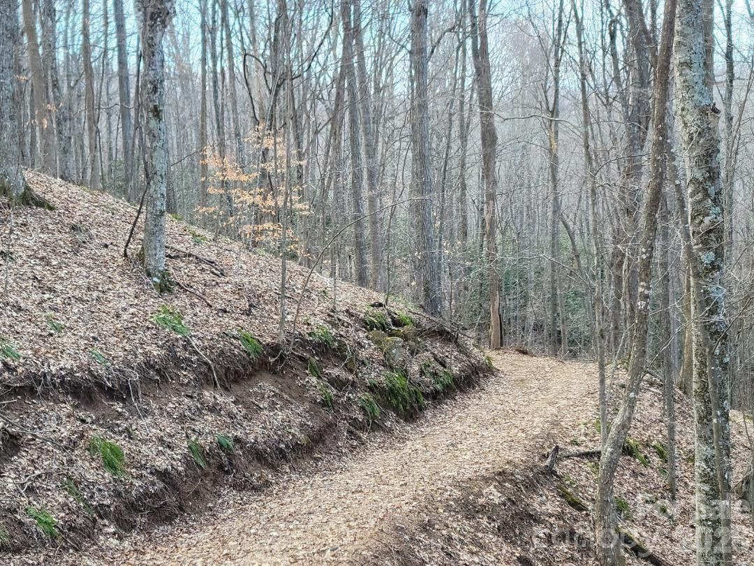 334 OMC Drive - Photo 34