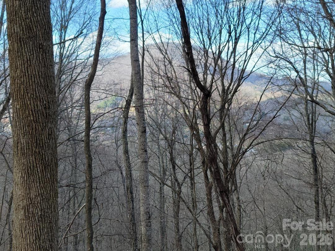 334 OMC Drive - Photo 35