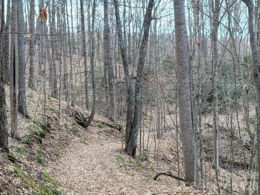 334 OMC Drive - Photo 36