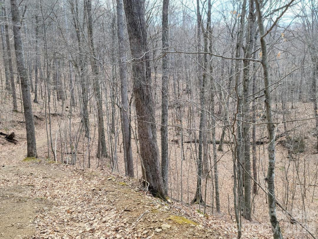 334 OMC Drive - Photo 37