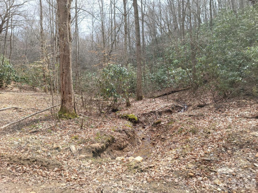 334 OMC Drive - Photo 5