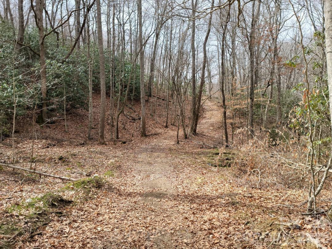 334 OMC Drive - Photo 6