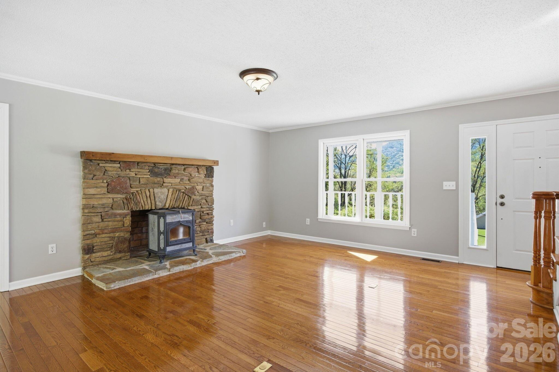 29 Small Mountain Drive - Photo 13