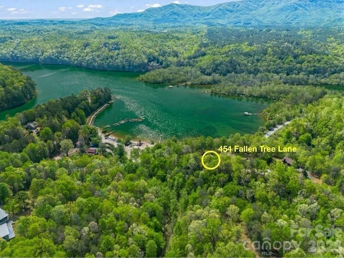 454 Fallen Tree Lane - Photo 4