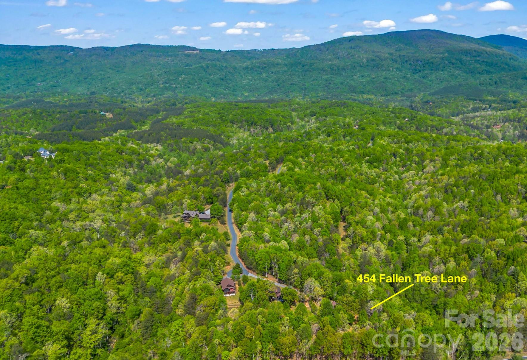 454 Fallen Tree Lane - Photo 9