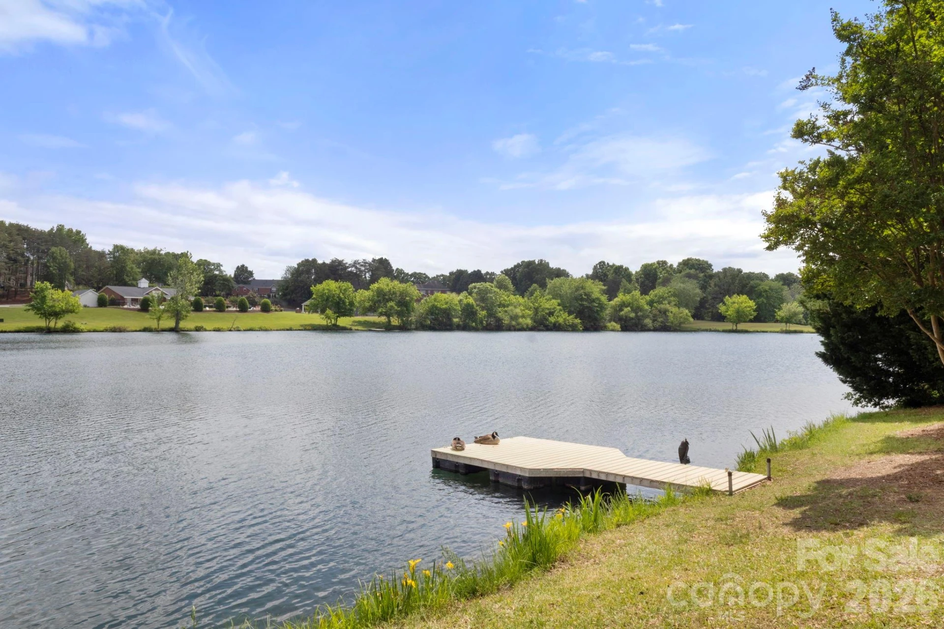 705 Congressional Lane - Photo 25