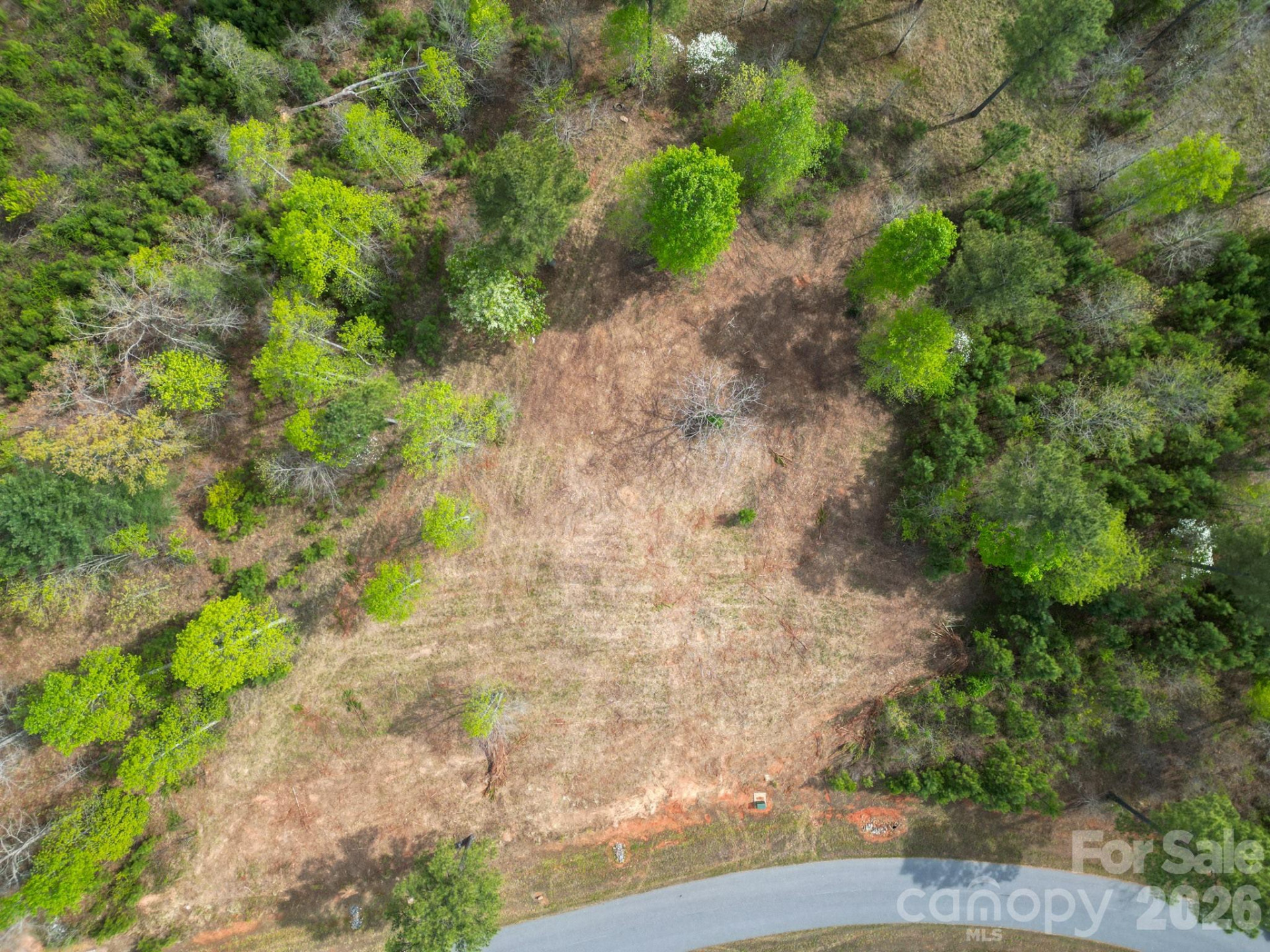 1997 Lake Vista Drive - Photo 3