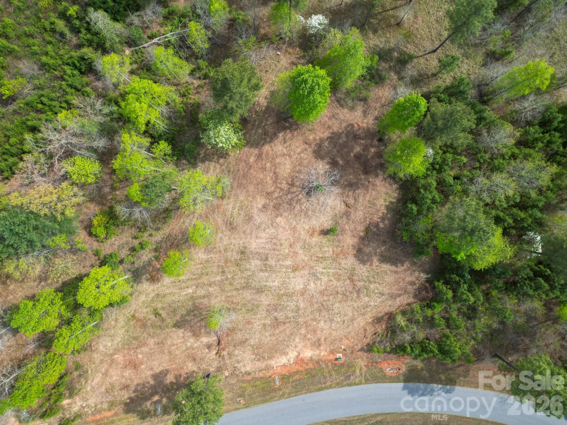 1997 Lake Vista Drive - Photo 3