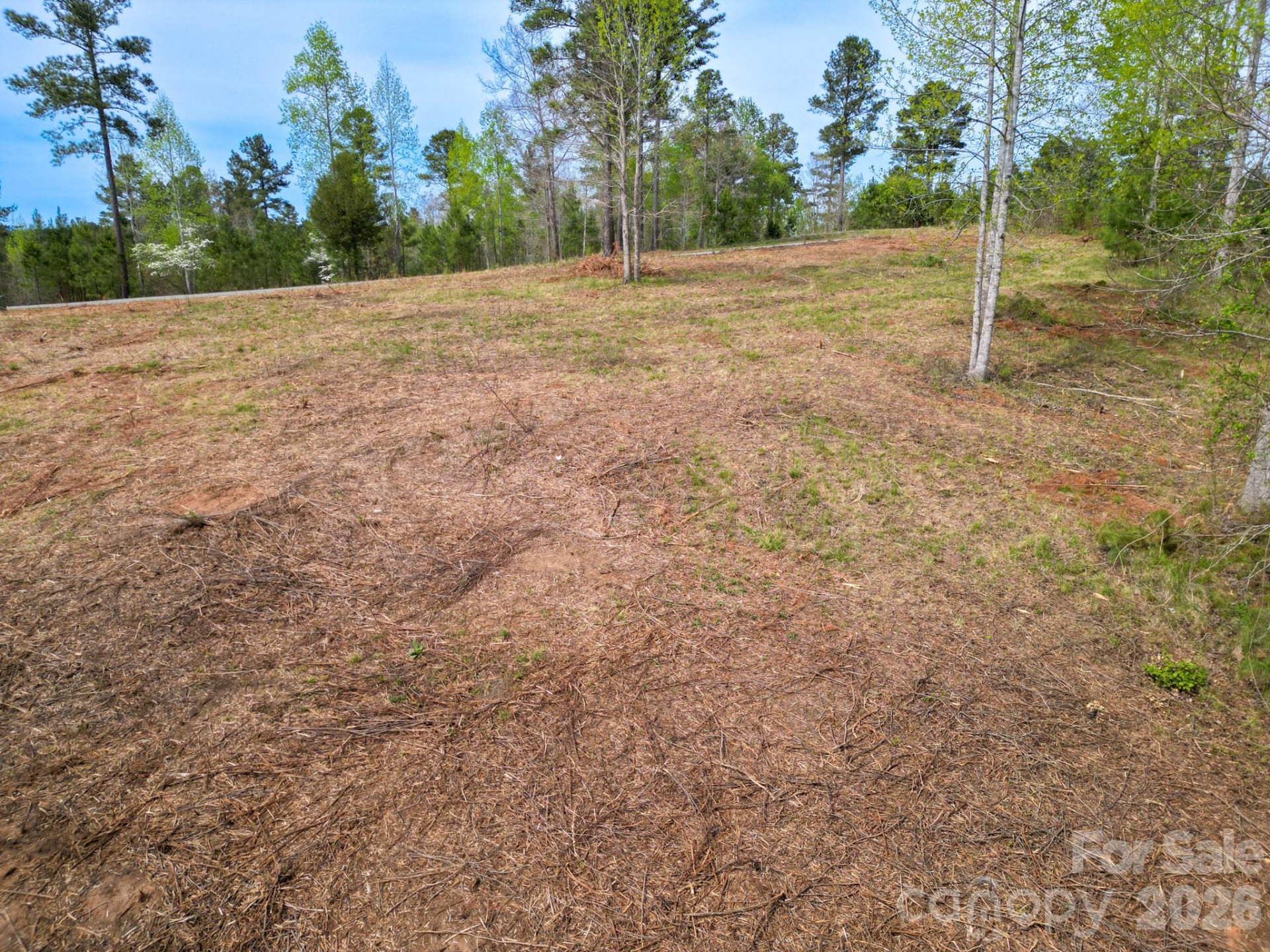 1997 Lake Vista Drive - Photo 4