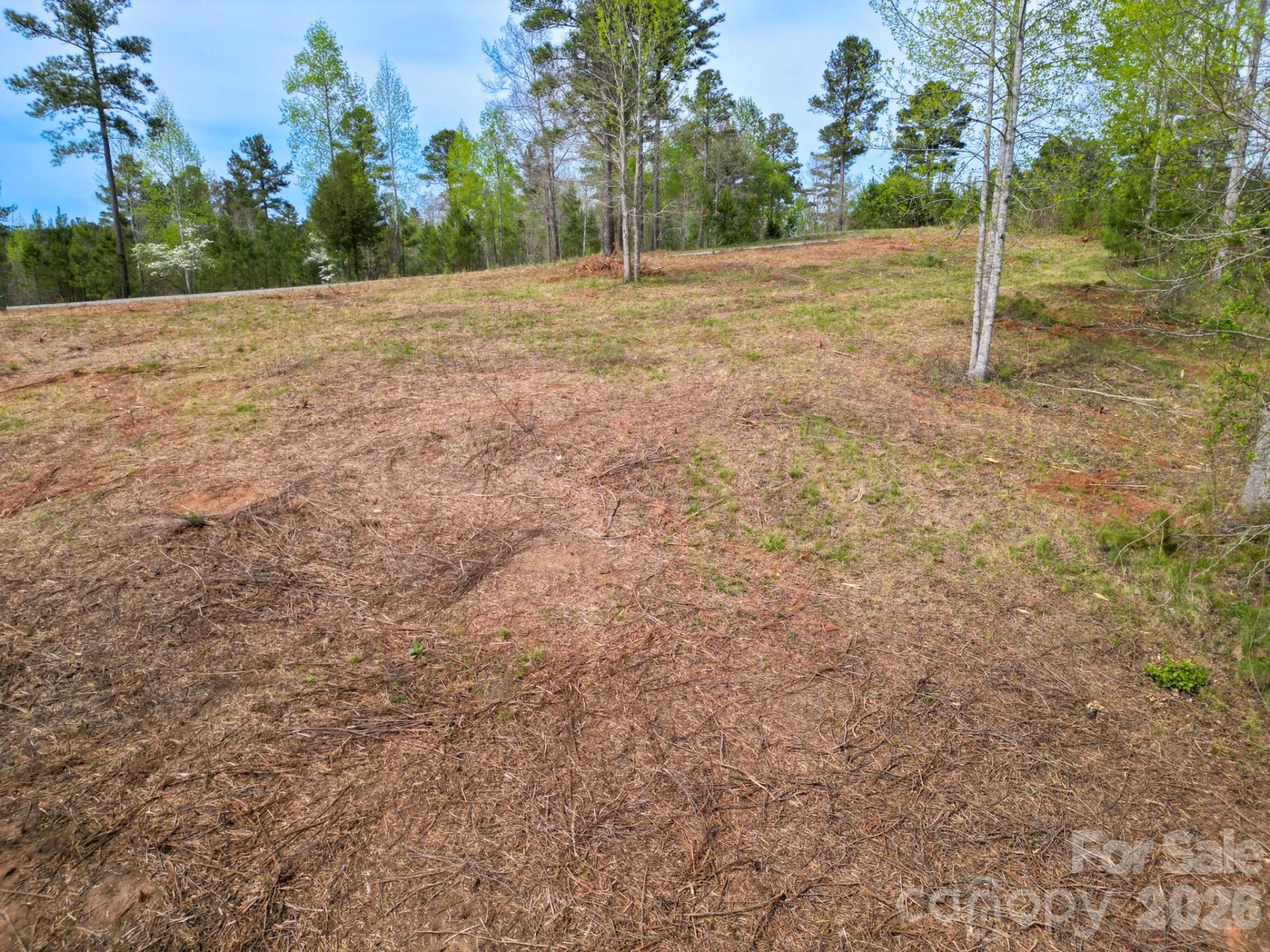 1997 Lake Vista Drive - Photo 4