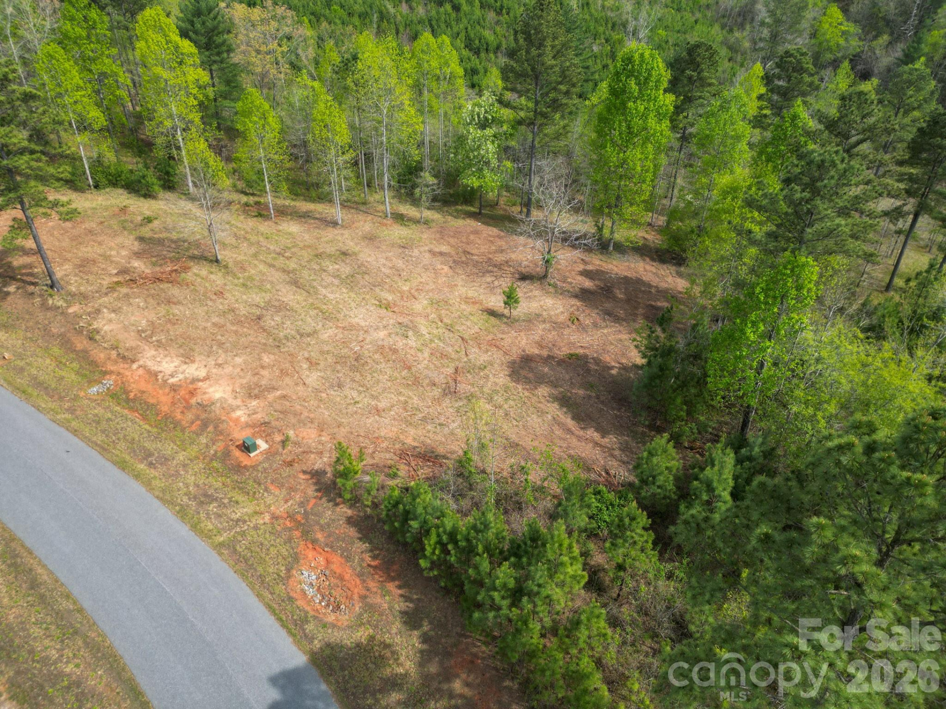 1997 Lake Vista Drive - Photo 6