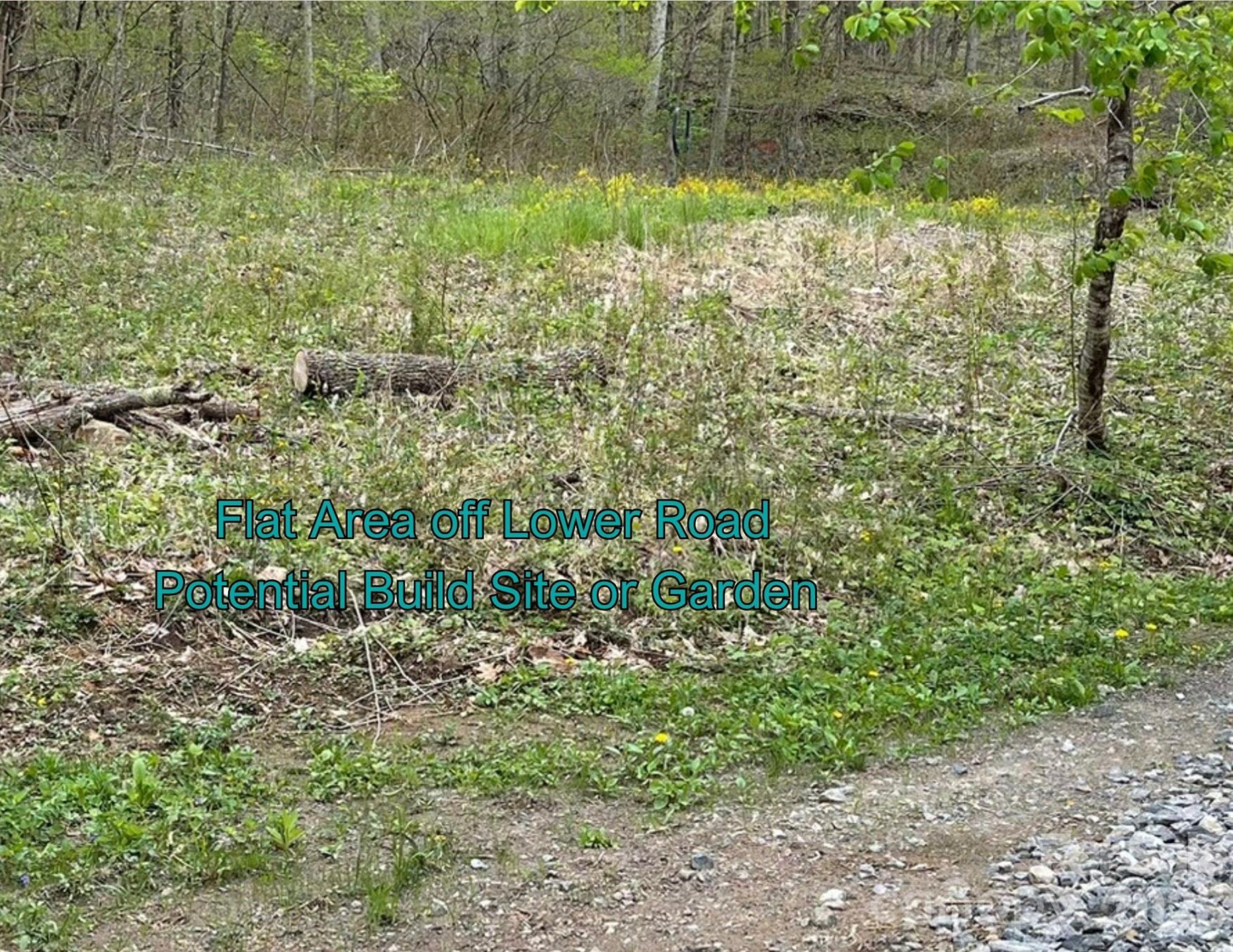 130 Gavin Glenn Road - Photo 11