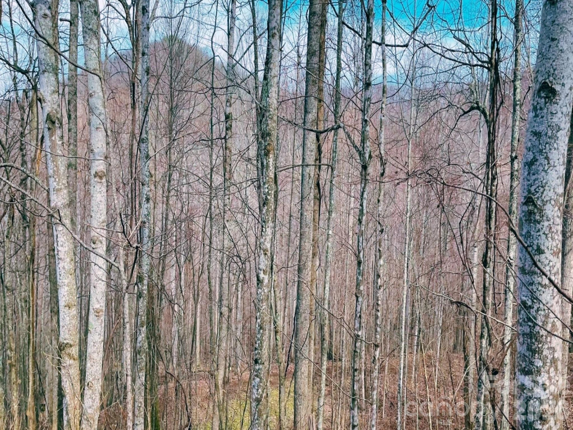 130 Gavin Glenn Road - Photo 12