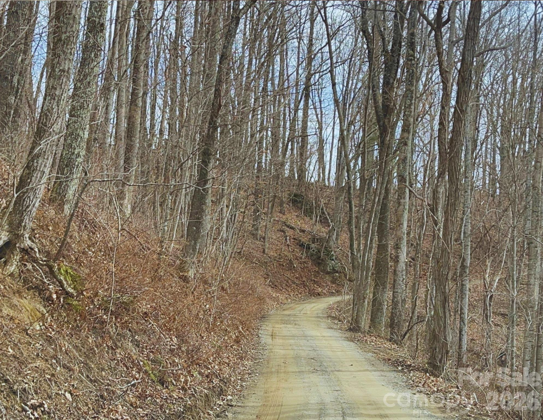 130 Gavin Glenn Road - Photo 3